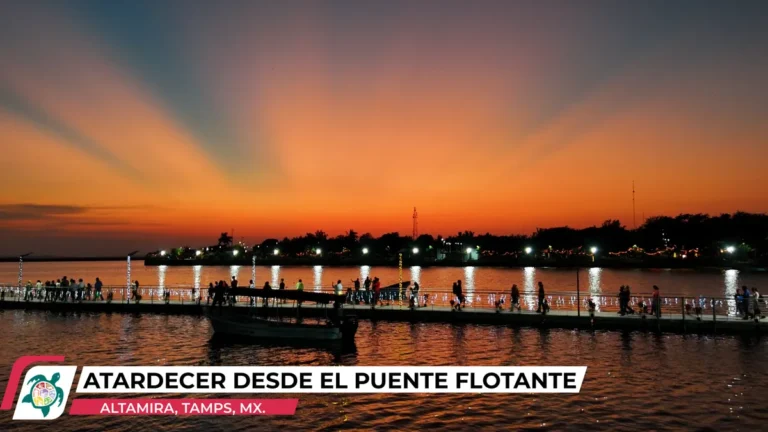 atardecer-desde-el-puente-flotante.webp