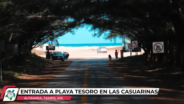 entrada-playa-tesoro.webp