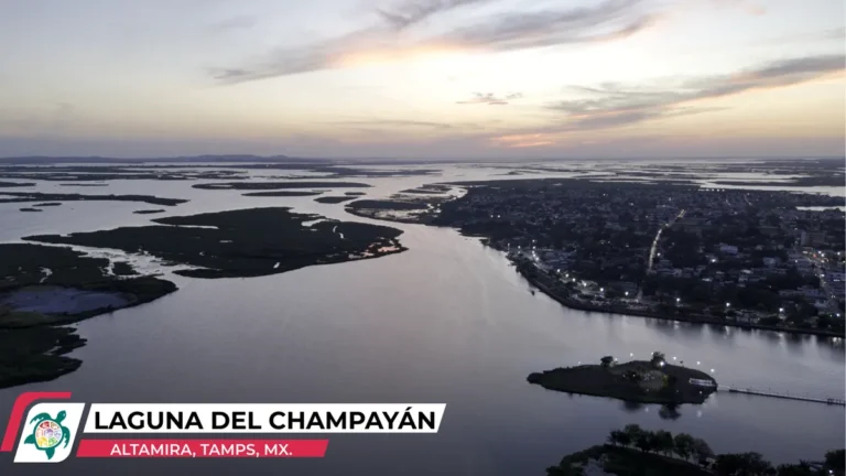 laguna-de-champayan.webp