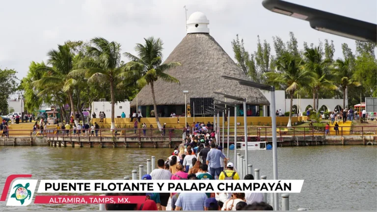 puente-flotante-y-palaa-champayan.webp