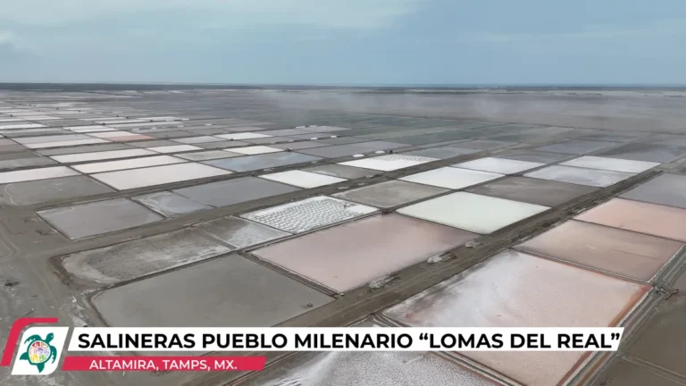 salineras-pueblo-milenario-_lomas-del-real_.webp